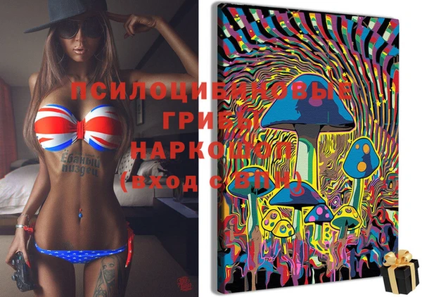 марки nbome Беломорск