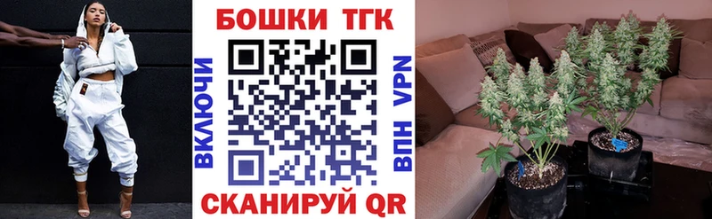 Купить где  Кыштым  Конопля индика 